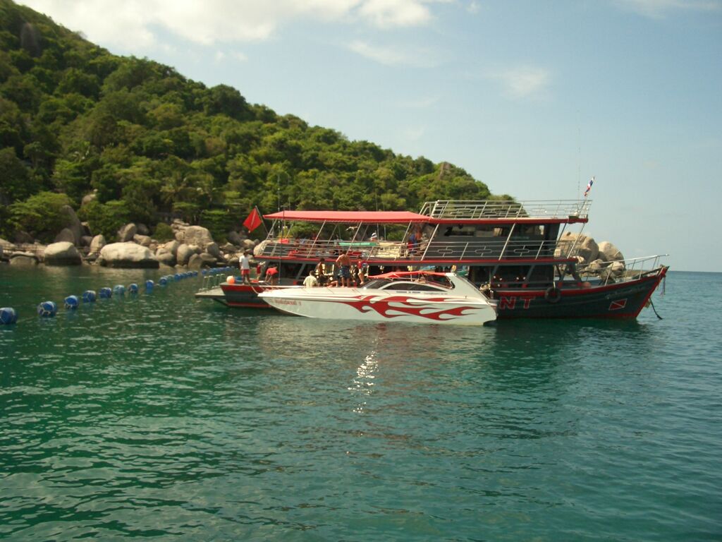 Click to See Next Image